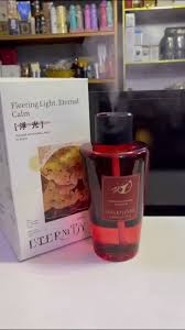 Rechargeable Automatic diffuser-1000ML